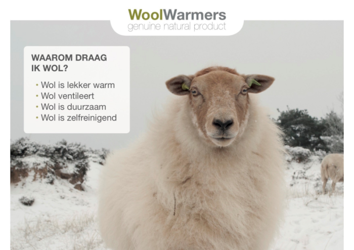 WoolWarmers Presentatie Topkaart 162 - Afbeelding 2